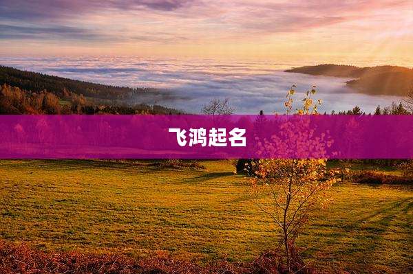 飞鸿起名