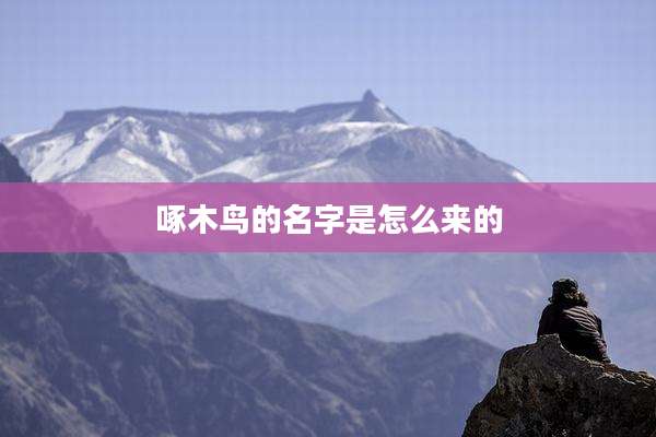 啄木鸟的名字是怎么来的