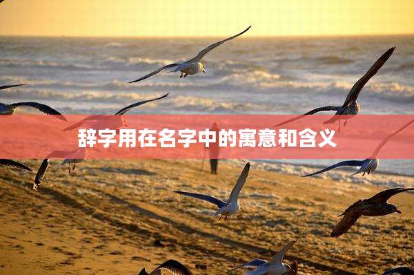 辞字用在名字中的寓意和含义