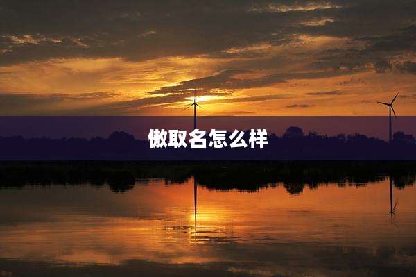 傲取名怎么样