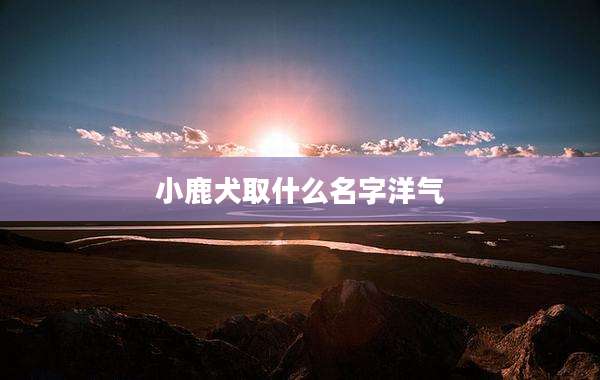 小鹿犬取什么名字洋气