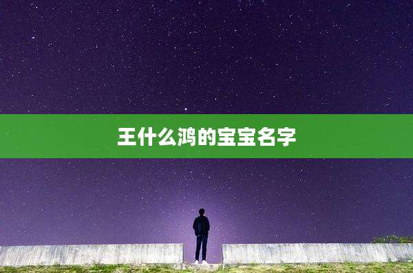 王什么鸿的宝宝名字
