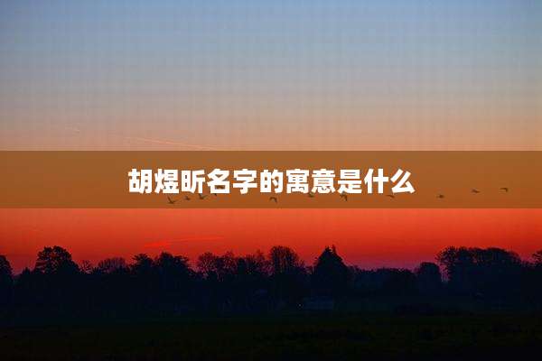 胡煜昕名字的寓意是什么