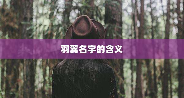 羽翼名字的含义