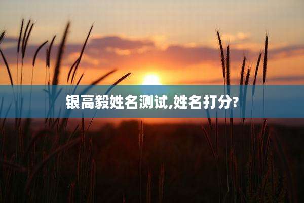 银高毅姓名测试,姓名打分?