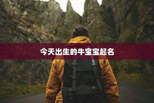 今天出生的牛宝宝起名