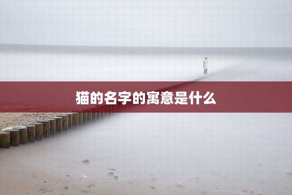 猫的名字的寓意是什么