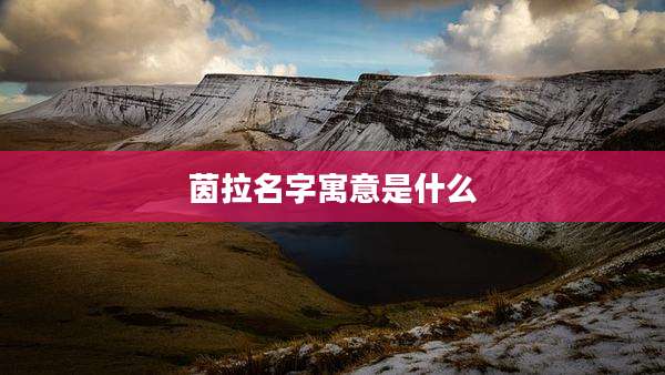 茵拉名字寓意是什么