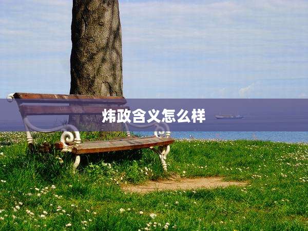 炜政含义怎么样