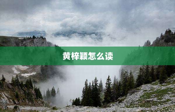 黄梓颖怎么读
