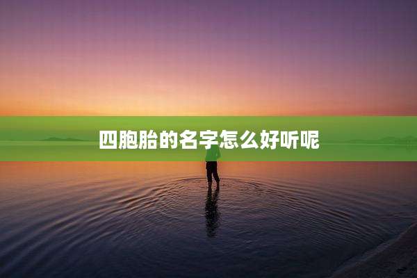 四胞胎的名字怎么好听呢