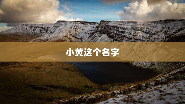 小黄这个名字