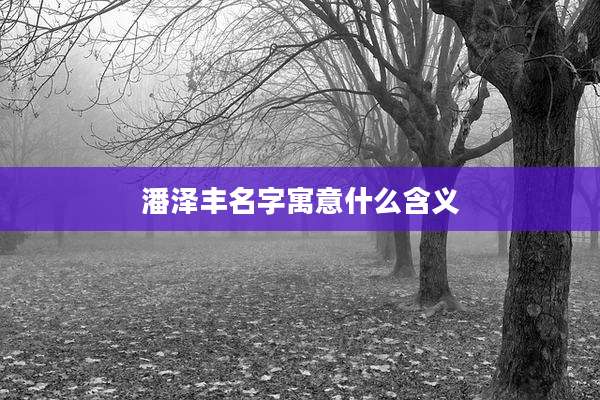 潘泽丰名字寓意什么含义