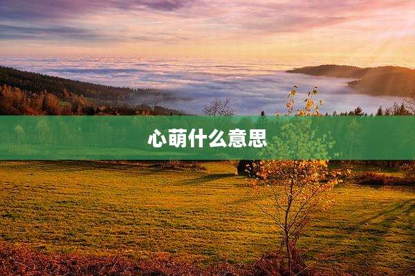 心萌什么意思