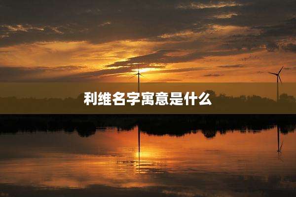 利维名字寓意是什么