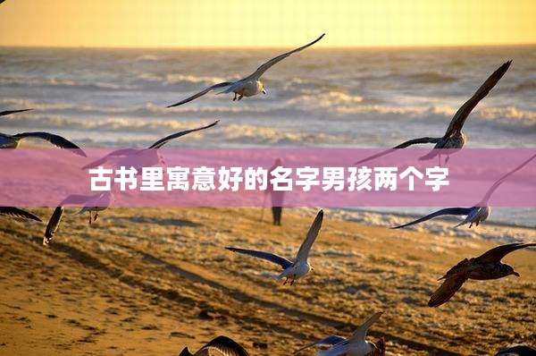 古书里寓意好的名字男孩两个字