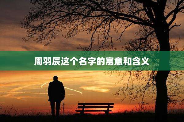 周羽辰这个名字的寓意和含义