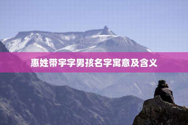惠姓带宇字男孩名字寓意及含义