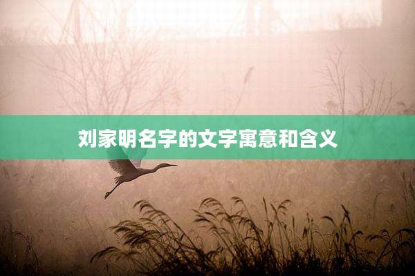 刘家明名字的文字寓意和含义