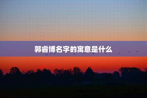 郭睿博名字的寓意是什么