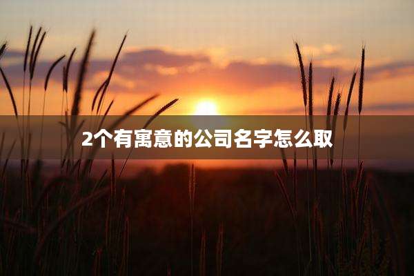 2个有寓意的公司名字怎么取