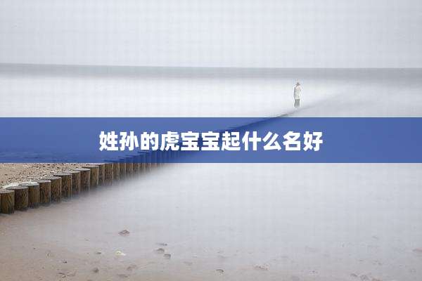 姓孙的虎宝宝起什么名好