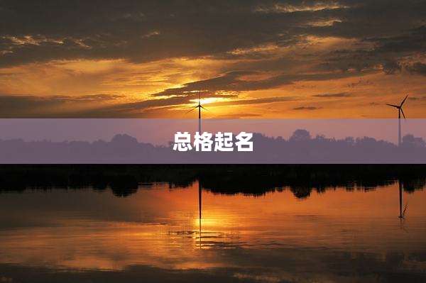 总格起名