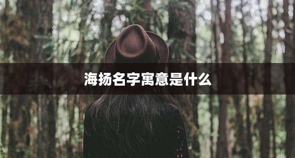 海扬名字寓意是什么