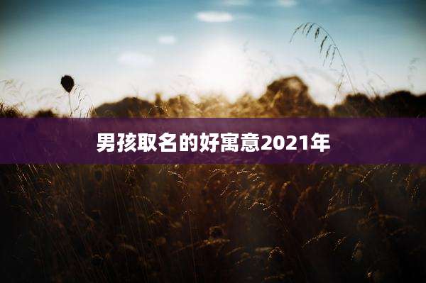 男孩取名的好寓意2021年