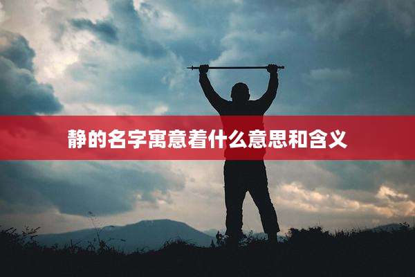 静的名字寓意着什么意思和含义