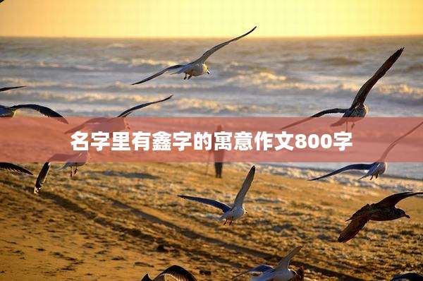 名字里有鑫字的寓意作文800字