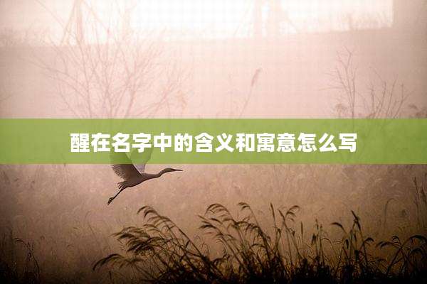 醒在名字中的含义和寓意怎么写