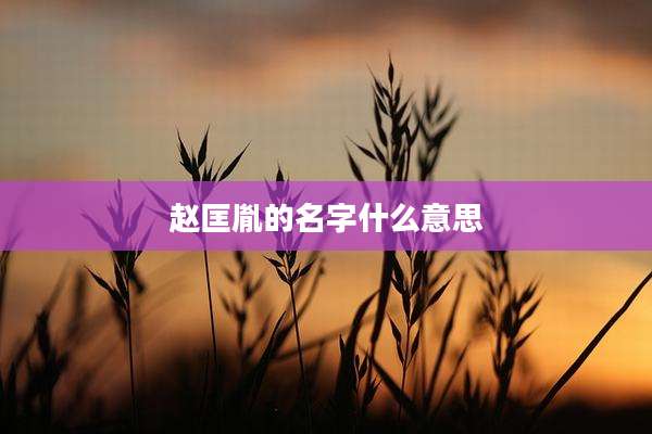 赵匡胤的名字什么意思