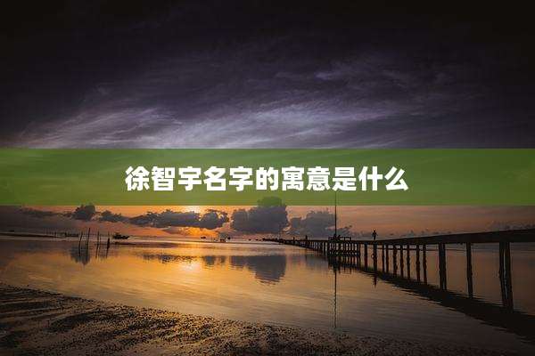 徐智宇名字的寓意是什么