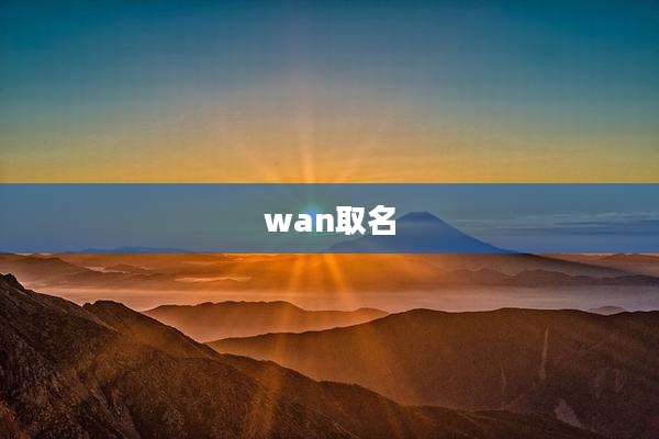 wan取名