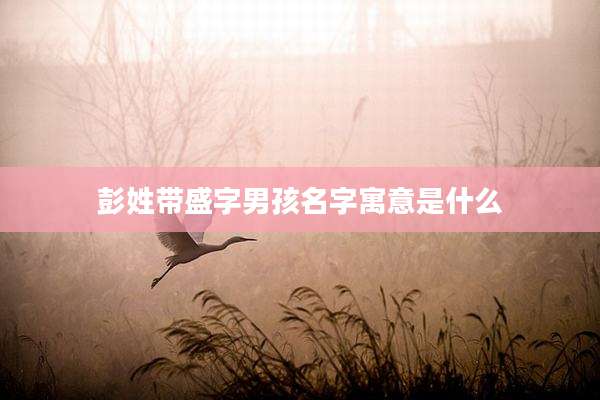 彭姓带盛字男孩名字寓意是什么