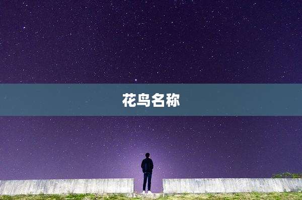 花鸟名称