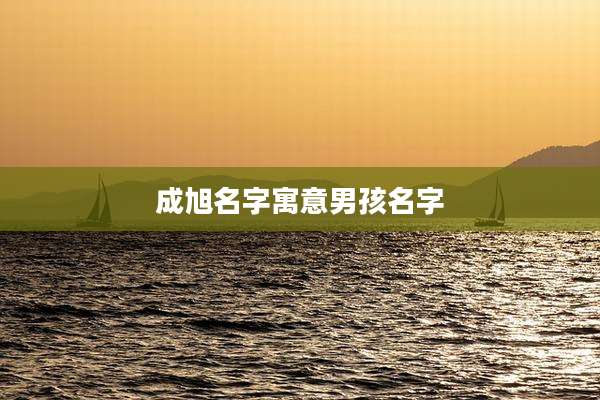 成旭名字寓意男孩名字