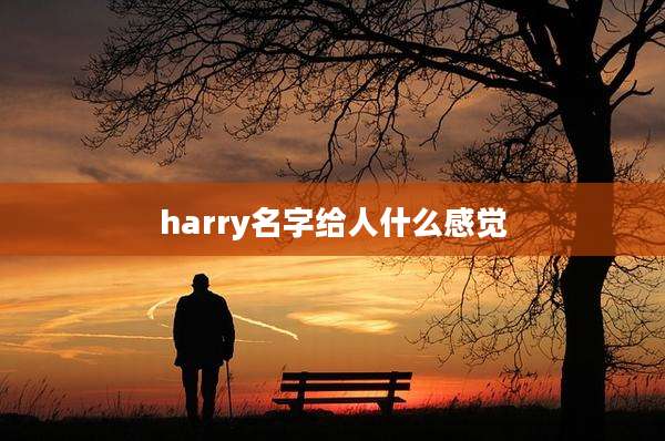 harry名字给人什么感觉