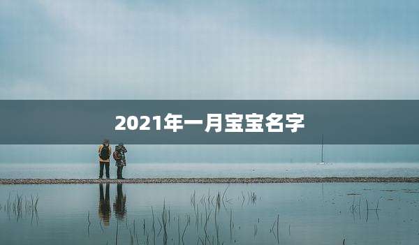 2021年一月宝宝名字
