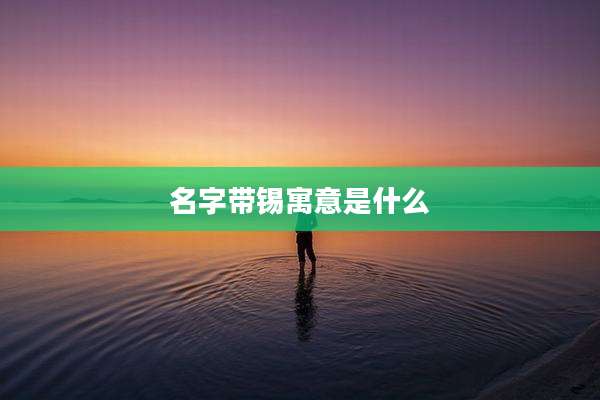 名字带锡寓意是什么