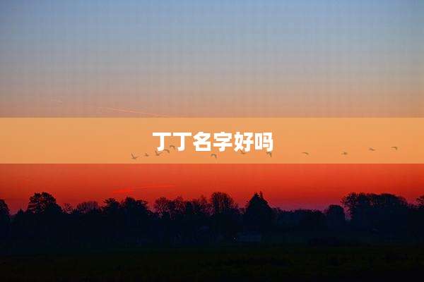 丁丁名字好吗
