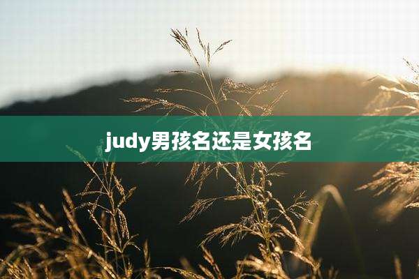 judy男孩名还是女孩名
