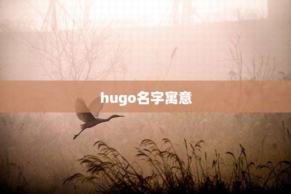 hugo名字寓意