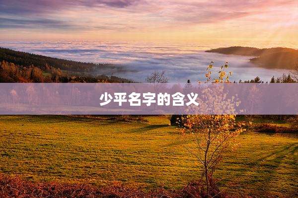 少平名字的含义