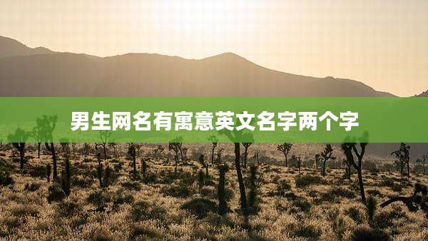 男生网名有寓意英文名字两个字