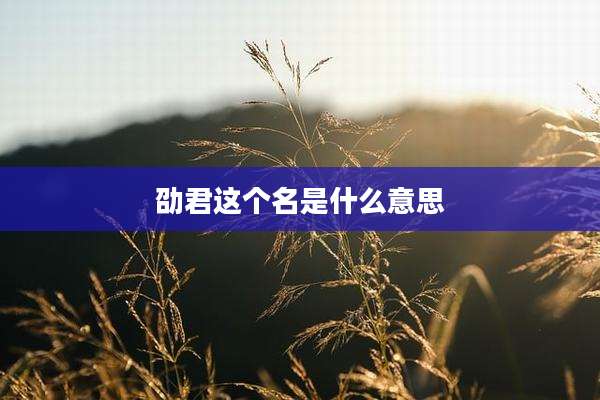 劭君这个名是什么意思