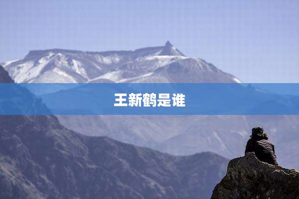 王新鹤是谁