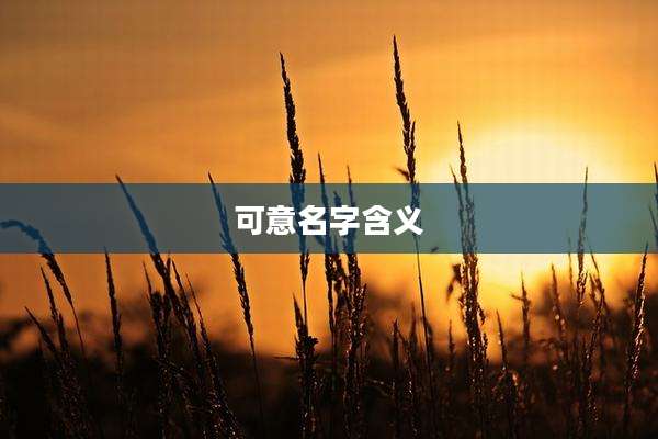 可意名字含义