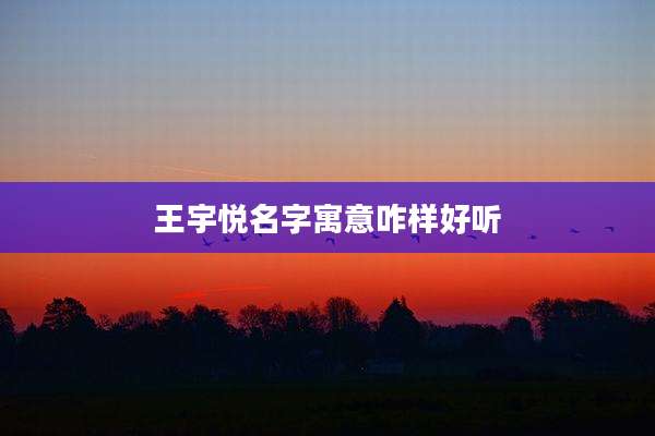 王宇悦名字寓意咋样好听